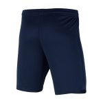 Exklusive paris saint-germain nike heimstadionshorts 2023-24 – kinder Kollektion – Premium Paris Saint Germain Trikots