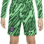 Exklusive psg nike goalkeeper stadium short 2024-25 – kinder Kollektion – Premium Paris Saint Germain Trikots