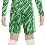 Exklusive psg nike goalkeeper stadium short 2024-25 – kinder Kollektion – Premium Paris Saint Germain Trikots