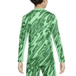Exklusive psg nike torwart-stadiontrikot 2024-25 – kinder Kollektion – Premium Paris Saint Germain Trikots