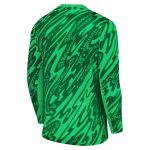 Exklusive psg nike torwart-stadiontrikot 2024-25 mit personalisieren druck Kollektion – Premium Paris Saint Germain Trikots