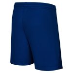Exklusive psg x jordan vierte stadionshorts 2024-25 – kinder Kollektion – Premium Paris Saint Germain Trikots